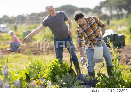 Young and elderly men spraying water on plants in field Young and elderly men spraying water on plants in field 139422803