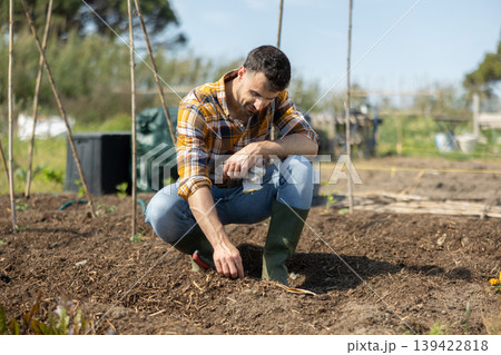 Man planting seeds on beds at farm. Working in spring garden Man planting seeds on beds at farm. Working in spring garden 139422818