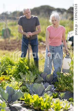 Elderly man and woman spraying water on plants in field 139422828