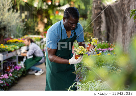 African American male florist working in garden store, checking potted white flowers 139423038