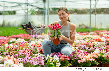 Woman holding pot with pink kalanchoe flowers in greenhouse Woman holding pot with pink kalanchoe flowers in greenhouse 139423159