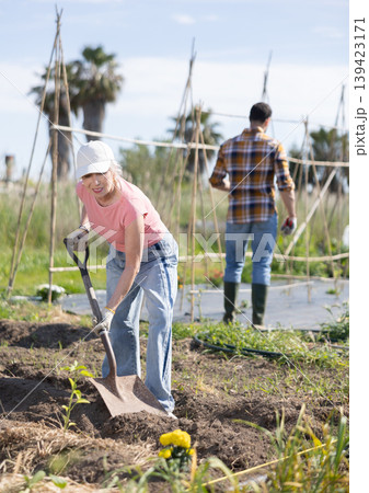 Elderly woman with shovel working on farm field Elderly woman with shovel working on farm field 139423171