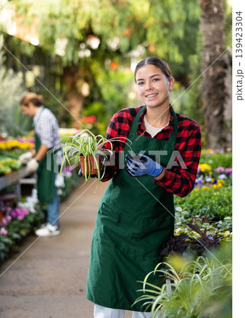 Female florist in apron taking care of potted flowers in flower shop 139423304