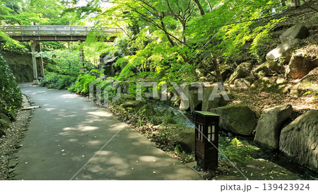 虎の尾と虎仙橋 徳川園／写真 139423924