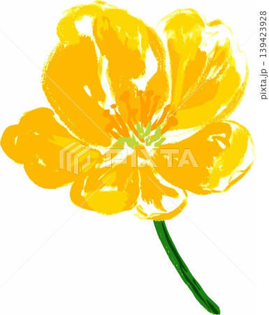 キンポウゲ 黄色い花 水彩イラスト キンポウゲ 黄色い花 水彩イラスト 139423928