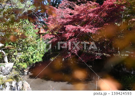 【京都】亀岡　鍬山神社の紅葉 139424593