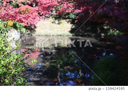 【京都】亀岡 鍬山神社の紅葉 【京都】亀岡 鍬山神社の紅葉 139424595