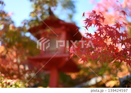 【京都】亀岡 鍬山神社の紅葉 【京都】亀岡 鍬山神社の紅葉 139424597