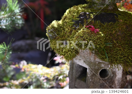 【京都】亀岡 鍬山神社の紅葉 【京都】亀岡 鍬山神社の紅葉 139424601