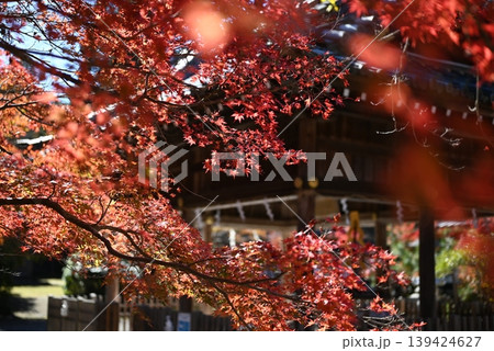 【京都】亀岡　鍬山神社の紅葉 139424627
