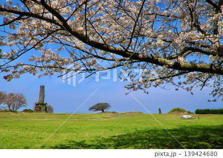 名護屋城跡・本丸の桜(佐賀県・名護屋) 名護屋城跡・本丸の桜(佐賀県・名護屋) 139424680