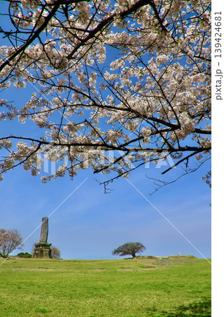 名護屋城跡・本丸の桜(佐賀県・名護屋) 名護屋城跡・本丸の桜(佐賀県・名護屋) 139424681