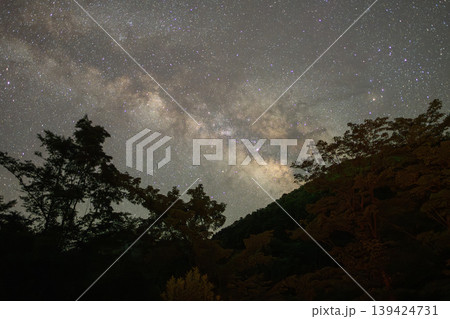洋上アルプス屋久島　森と天の川星景(夏 139424731
