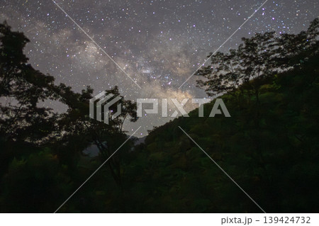 洋上アルプス屋久島　森と天の川星景(夏 139424732