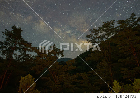 洋上アルプス屋久島 森と天の川星景(夏 洋上アルプス屋久島 森と天の川星景(夏 139424733