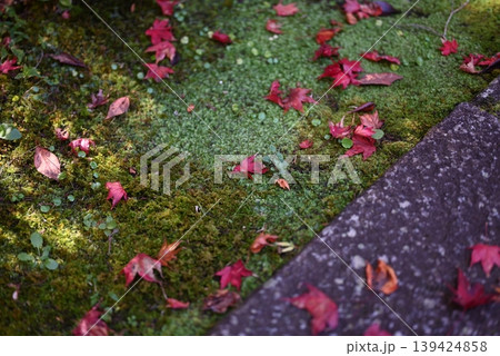 【京都】亀岡　鍬山神社の紅葉 139424858
