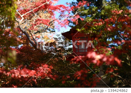 【京都】亀岡　鍬山神社の紅葉 139424862