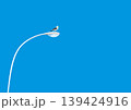 青空と電灯とカモメのイラスト 139424916