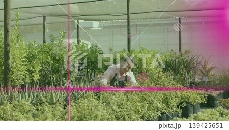 Holding pruning shears, kneeling woman tending shrubs and succulents in nursery under shade cloth Holding pruning shears, kneeling woman tending shrubs and succulents in nursery under shade cloth 139425651