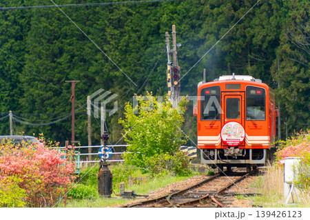 明智鉄道40周年記念ヘッドマーク列車が山間を走る風景 明智鉄道40周年記念ヘッドマーク列車が山間を走る風景 139426123