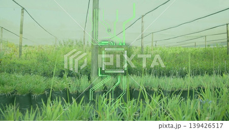 Blending neon green microchip overlay with nursery in shade net, with black grow bags, wooden posts Blending neon green microchip overlay with nursery in shade net, with black grow bags, wooden posts 139426517