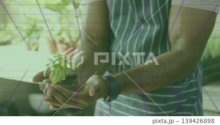 Holding mid adult man gardener presenting green seedling on porch, with striped apron and wristband Holding mid adult man gardener presenting green seedling on porch, with striped apron and wristband 139426898