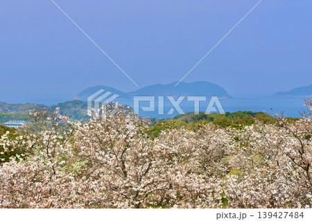 名護屋城跡・本丸跡からの眺望・桜と島々（佐賀県・名護屋） 139427484