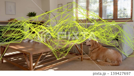 Lying golden dog lifting head in living room with coffee table, sideboard, neon overlay, copy space Lying golden dog lifting head in living room with coffee table, sideboard, neon overlay, copy space 139427697