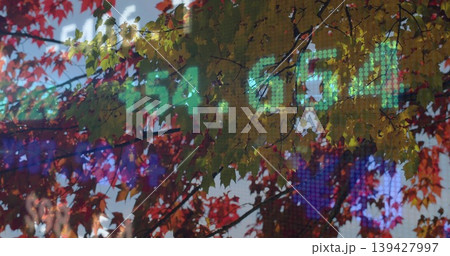 Framing maple leaves and branches at urban plaza, LED ticker showing green digits and pixels Framing maple leaves and branches at urban plaza, LED ticker showing green digits and pixels 139427997
