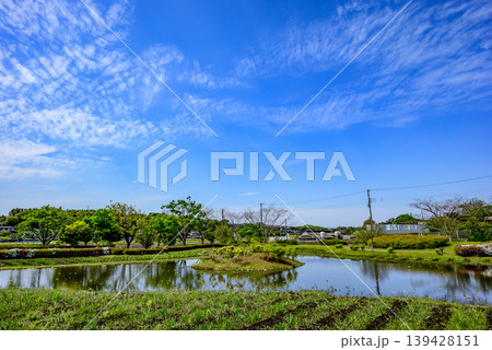 大池に映る樹木と青空の風景 139428151
