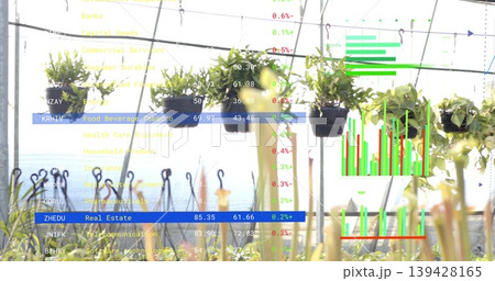 Displaying row of black hanging plant pots and seedlings in greenhouse, showing financial charts 139428165