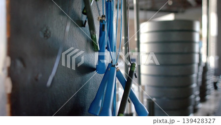Hanging blue-handled jump ropes dangling from metal hooks on textured gym wall, with bumper plates 139428327
