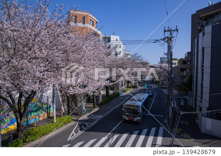 桜が満開の中野通りの交通【都会イメージ】 139428679