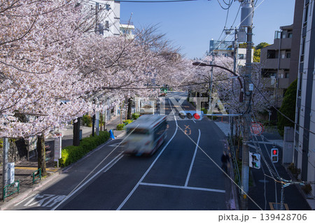 桜が満開の中野通りの交通【都会イメージ】 桜が満開の中野通りの交通【都会イメージ】 139428706
