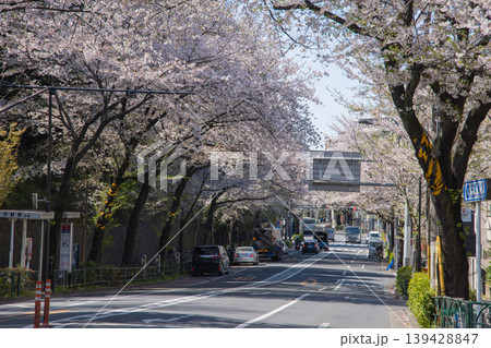 桜が満開の中野通りの交通【都会イメージ】 桜が満開の中野通りの交通【都会イメージ】 139428847