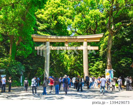 GWの明治神宮 南参道 GWの明治神宮 南参道 139429073