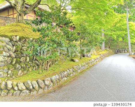 新緑に包まれた参道 139430174