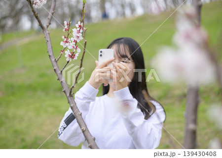 梅の花の写真を撮る女性 梅の花の写真を撮る女性 139430408