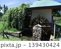 浜寺公園のバラ園にて 139430424