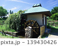 浜寺公園のバラ園にて 139430426