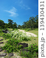 浜寺公園のバラ園にて 139430431