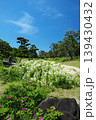 浜寺公園のバラ園にて 139430432