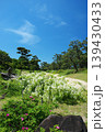 浜寺公園のバラ園にて 139430433