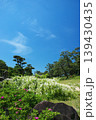 浜寺公園のバラ園にて 139430435