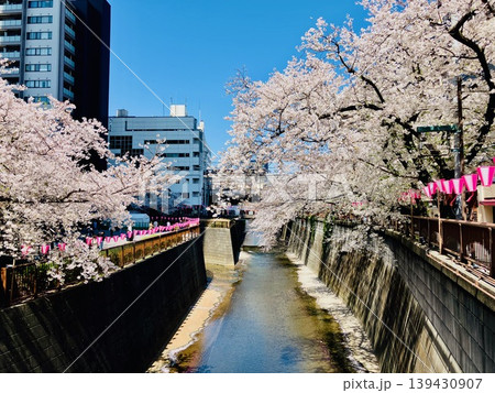 中目黒の満開の桜の風景 139430907