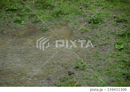 梅雨の水たまり 139431306