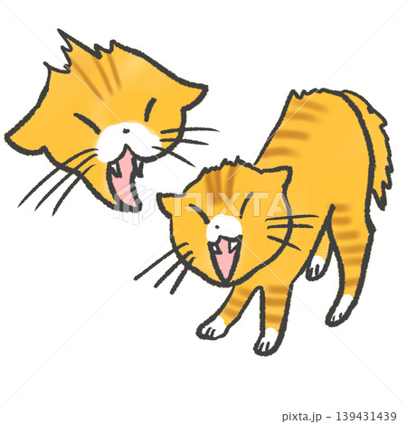 シャーと威嚇する猫 シャーと威嚇する猫 139431439