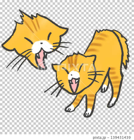 A cat hissing and threatening A cat hissing and threatening 139431439