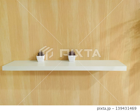 Wooden shelves with small potted houseplants on a wooden wall. 139431469