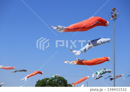 青空を泳ぐ鯉のぼり 139431532